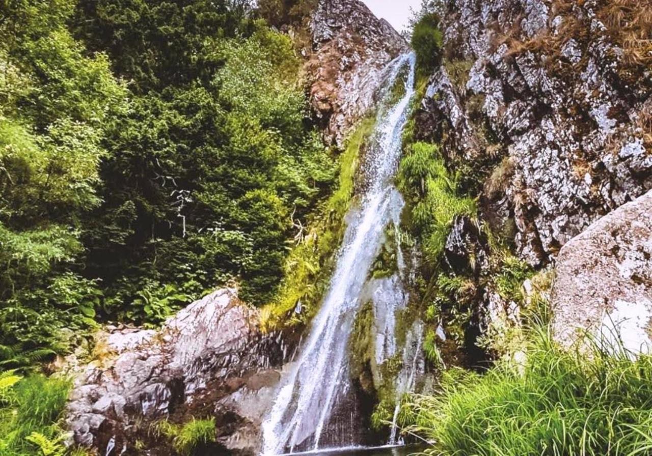 Vale Do Zezere Hotel マンテイガス エクステリア 写真